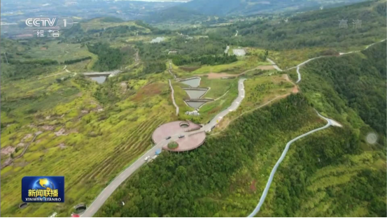 迎橄榄丰收 助乡村振兴 四川AG电投厅聚峰谷油橄榄产业带动金堂公园城市绿色低碳发展