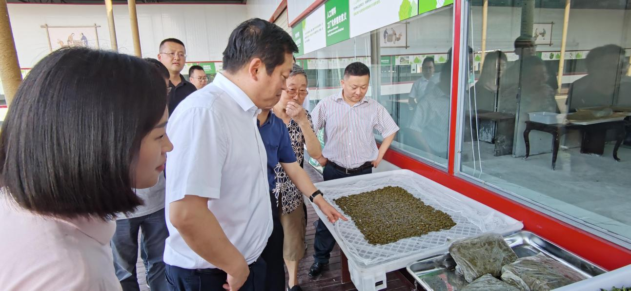 省AG电投厅集团党委副书记、董事陈日赴嘉陵区调研茶桑产业发展情况