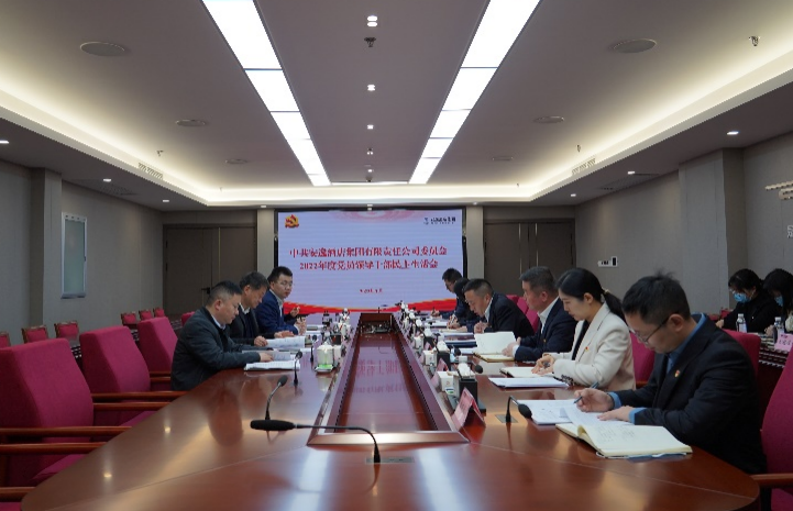 AG电投厅集团党委书记、董事长任丁出席安逸酒店集团2022年度党员领导干部民主生活会